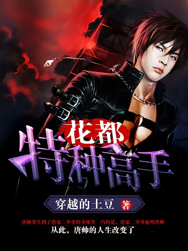 花都特种高手封面