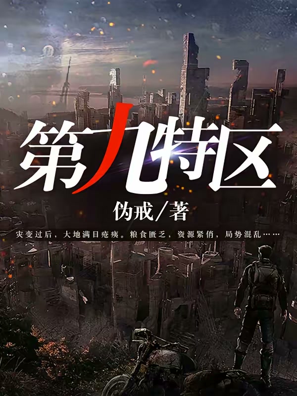 第九特区封面