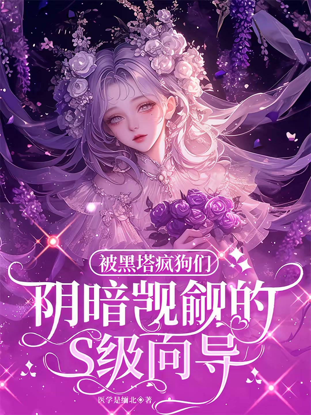 被黑塔疯狗们阴暗觊觎的S级向导封面