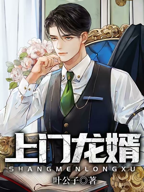 上门龙婿封面