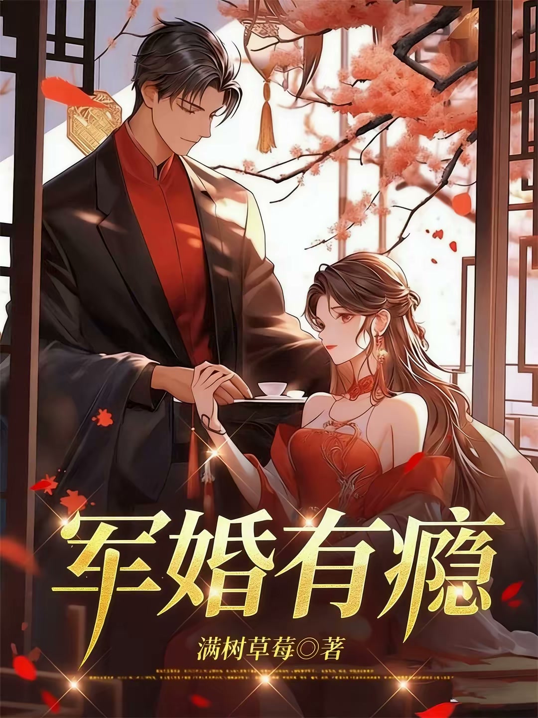 军婚有瘾封面