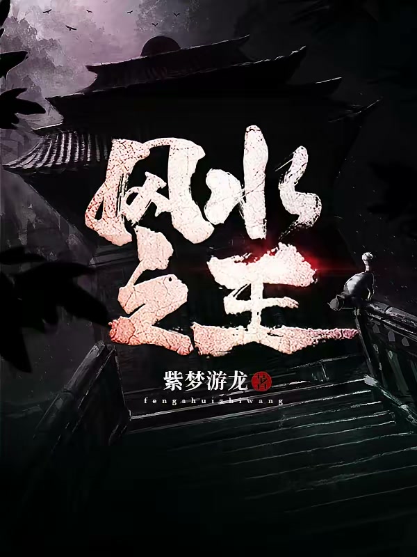 风水之王封面