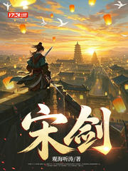 宋剑封面
