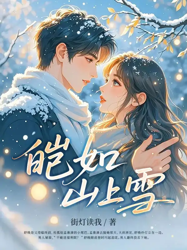 皑如山上雪封面