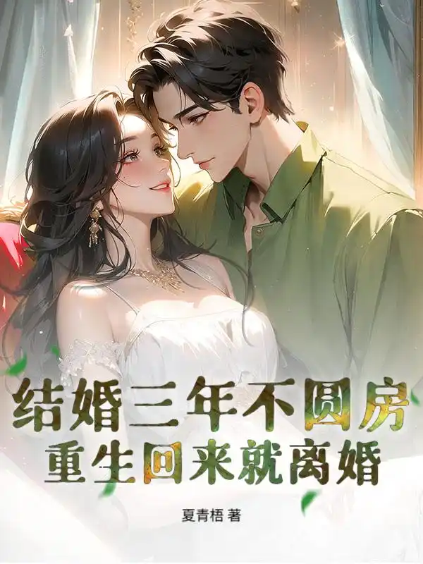结婚三年不圆房，重生回来就离婚封面