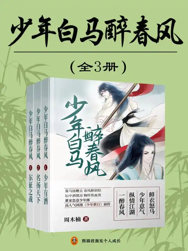 少年白马醉春风封面