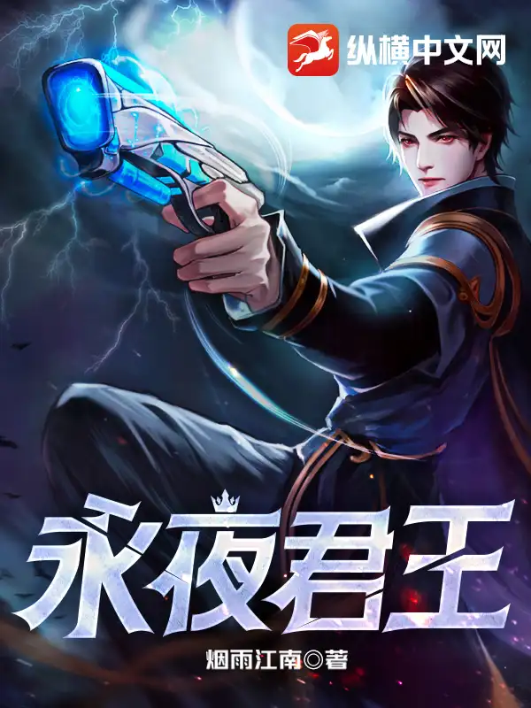 永夜君王封面