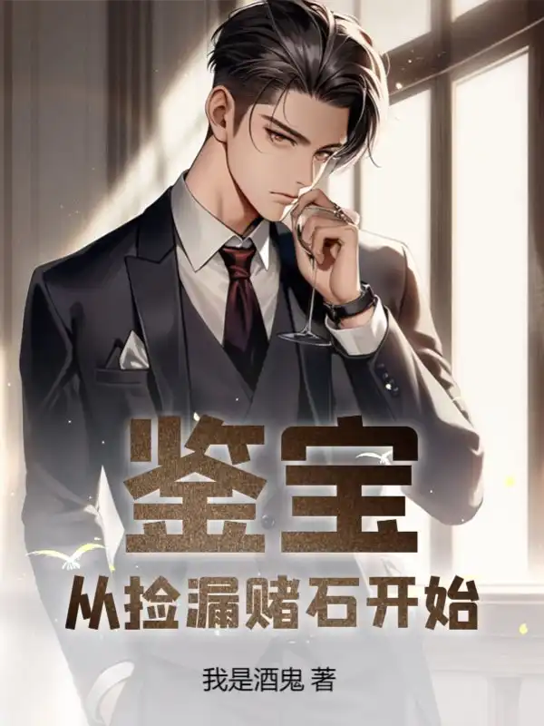 鉴宝：从捡漏赌石开始封面