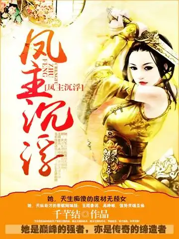凤主沉浮封面