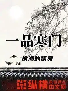 一品寒门封面