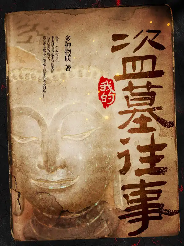 我的盗墓往事封面