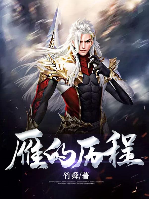 雁的历程封面