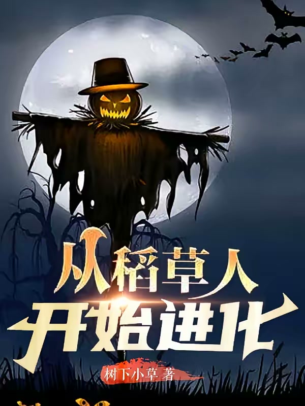 从稻草人开始进化封面