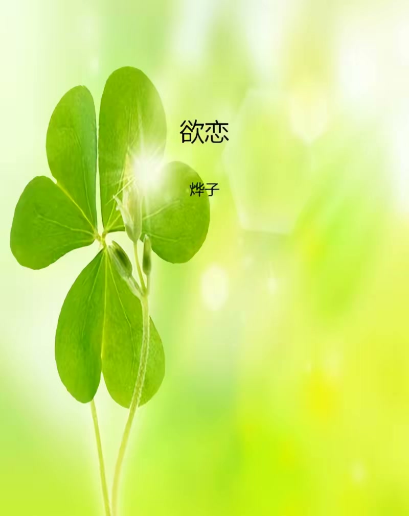 欲恋封面