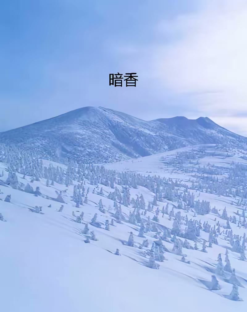 暗香封面