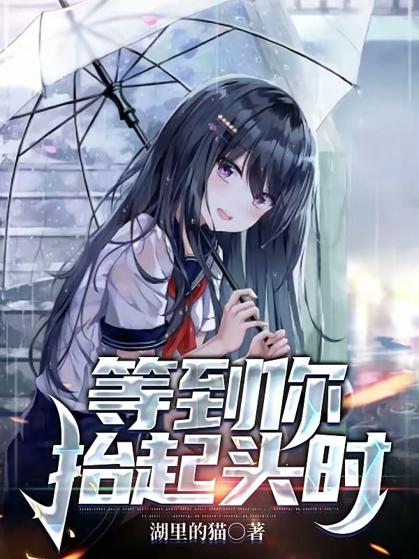 等到你抬起头时封面