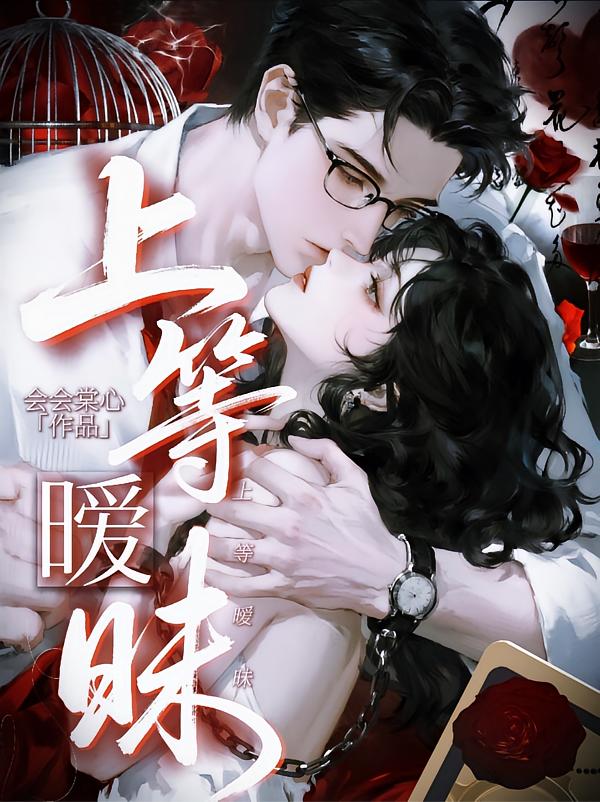 上等暧昧封面