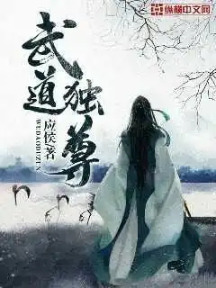 武道独尊封面