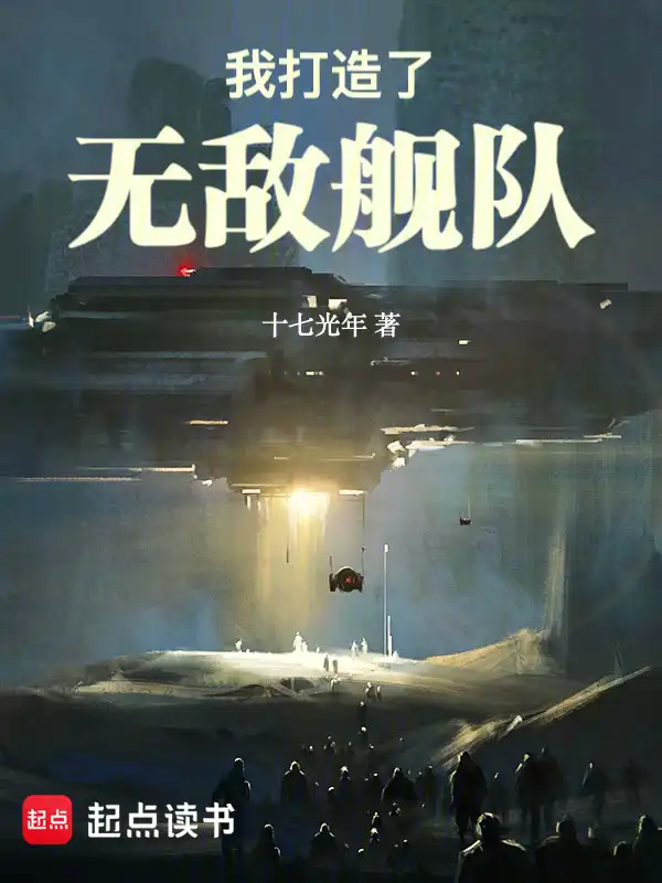 我打造了无敌舰队封面