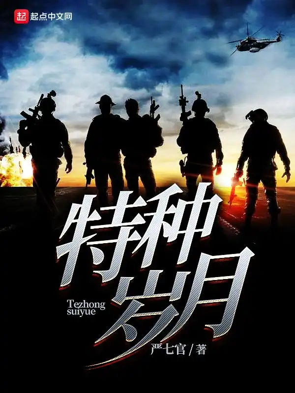 特种岁月封面
