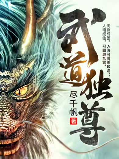 武道独尊封面