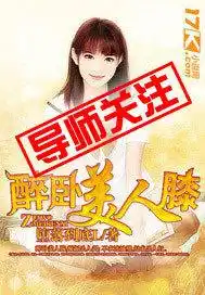 醉卧美人膝封面