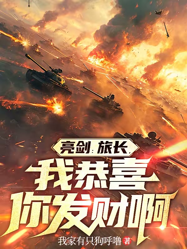 亮剑：旅长，我恭喜你发财啊封面