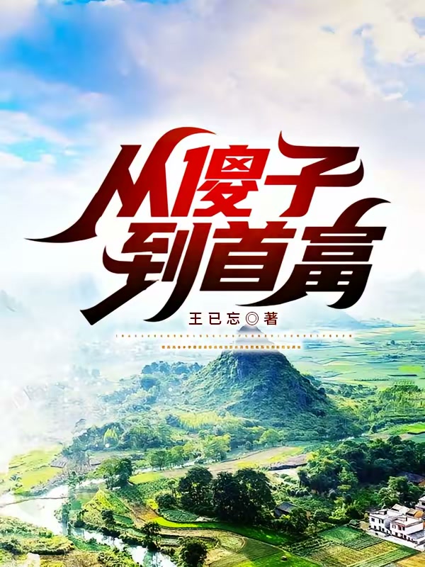 从傻子到首富封面
