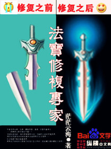 法宝修复专家封面