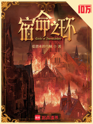 宿命之环封面