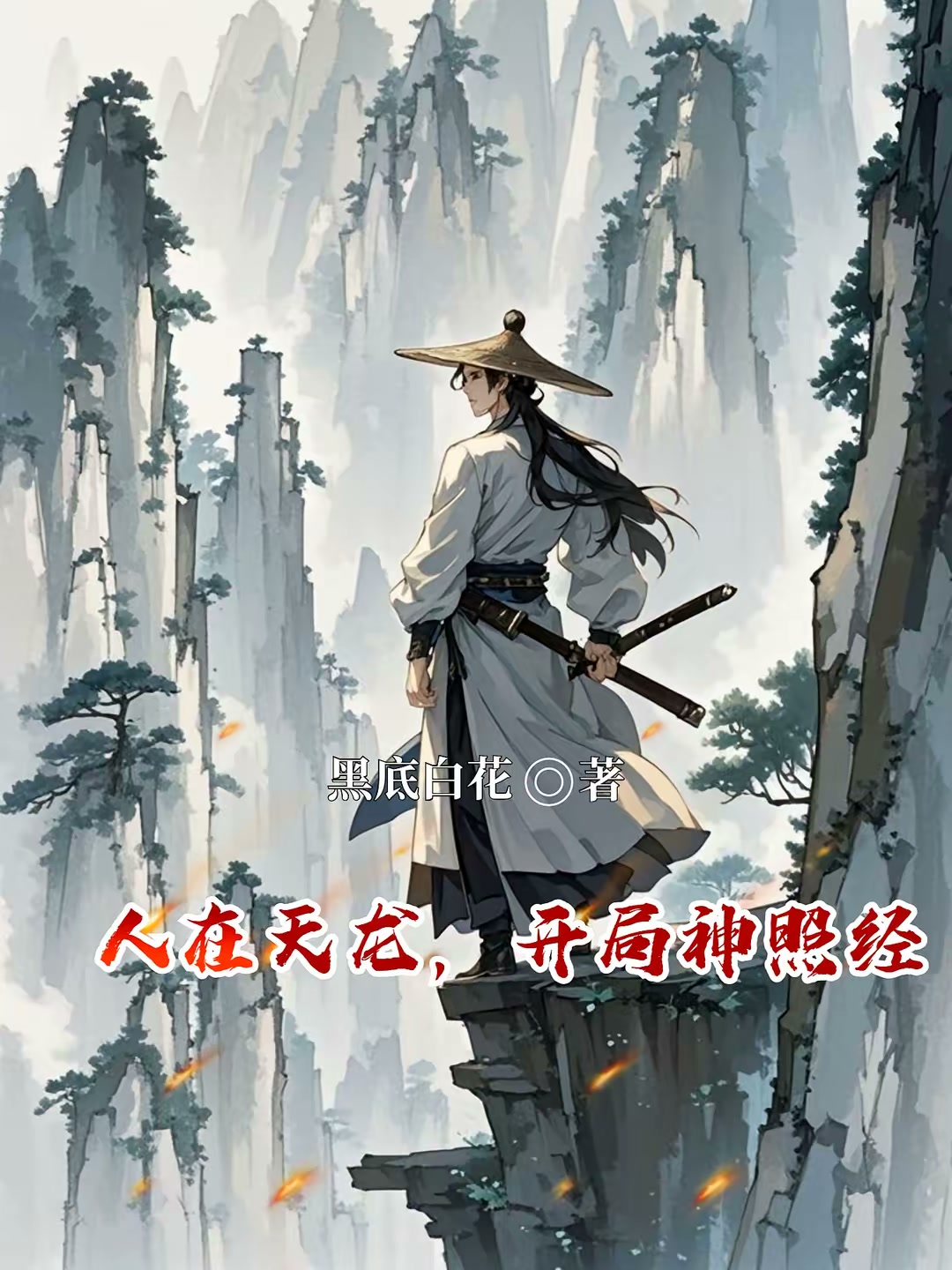 天龙：人在北宋，开局神照经封面