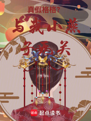真假格格？与我小燕子无关封面