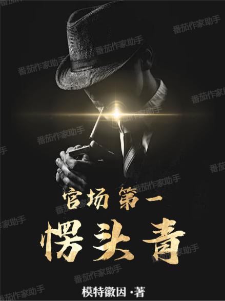 官场第一愣头青封面