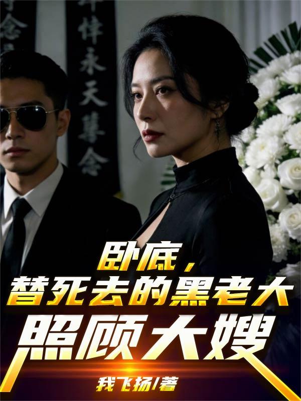 卧底，替死去的黑老大照顾大嫂封面