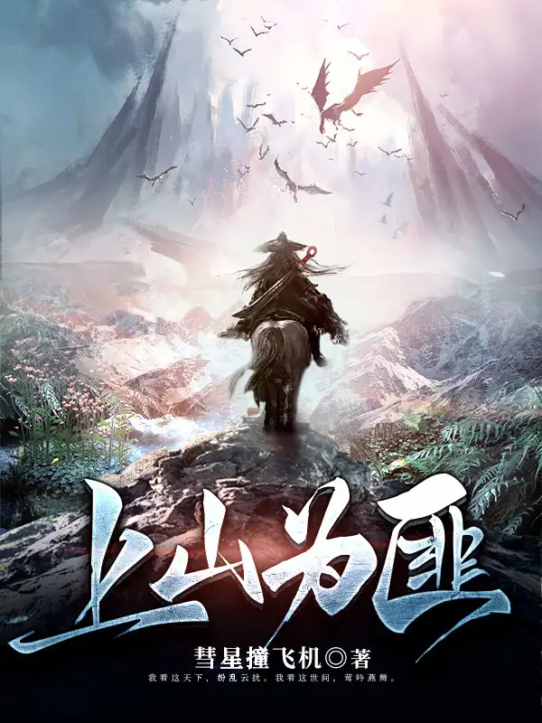 上山为匪封面