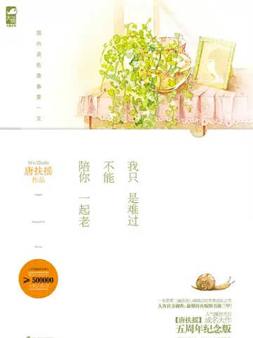 我只是难过不能陪你一起老封面