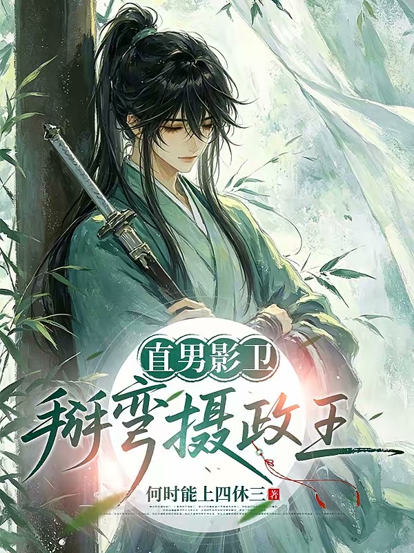 直男影卫，掰弯摄政王封面