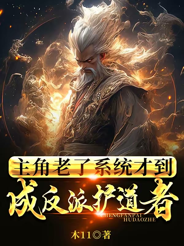 主角老了系统才到，成反派护道者封面