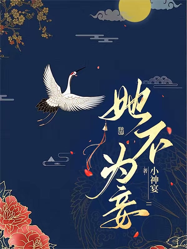 她不为妾封面
