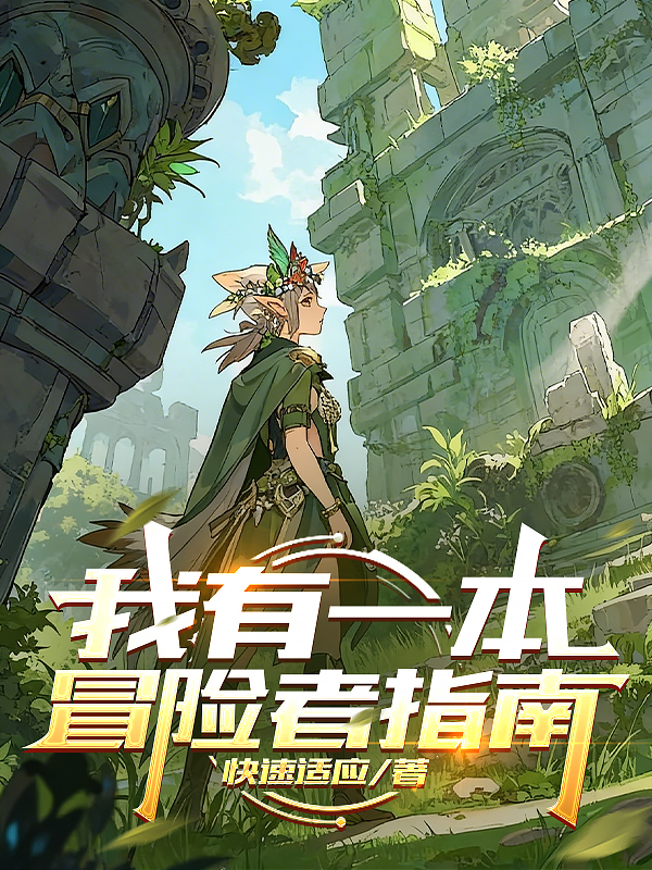 我有一本冒险者指南封面