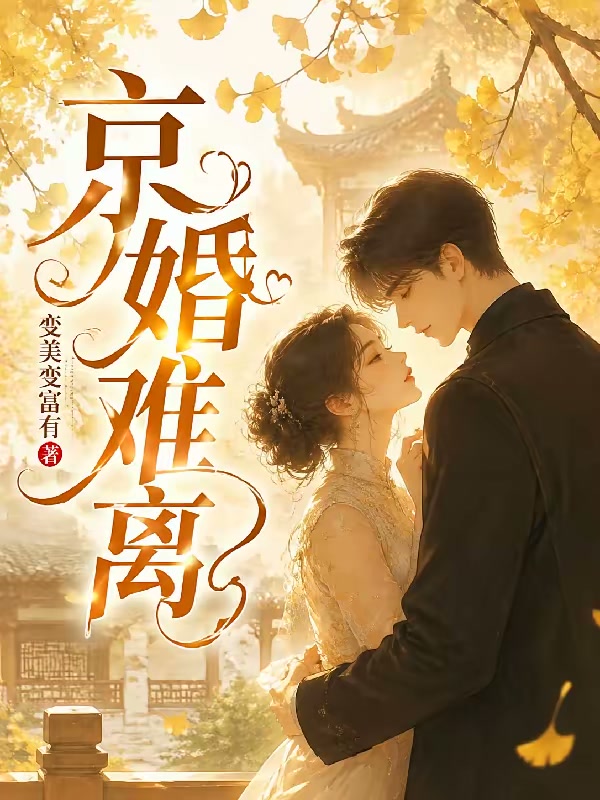 京婚难离封面