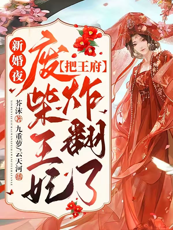 新婚夜，废柴王妃把王府炸翻了封面
