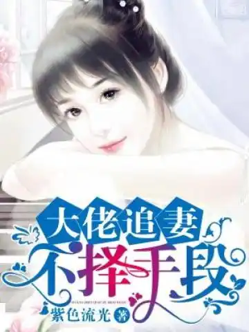 大佬追妻不择手段封面